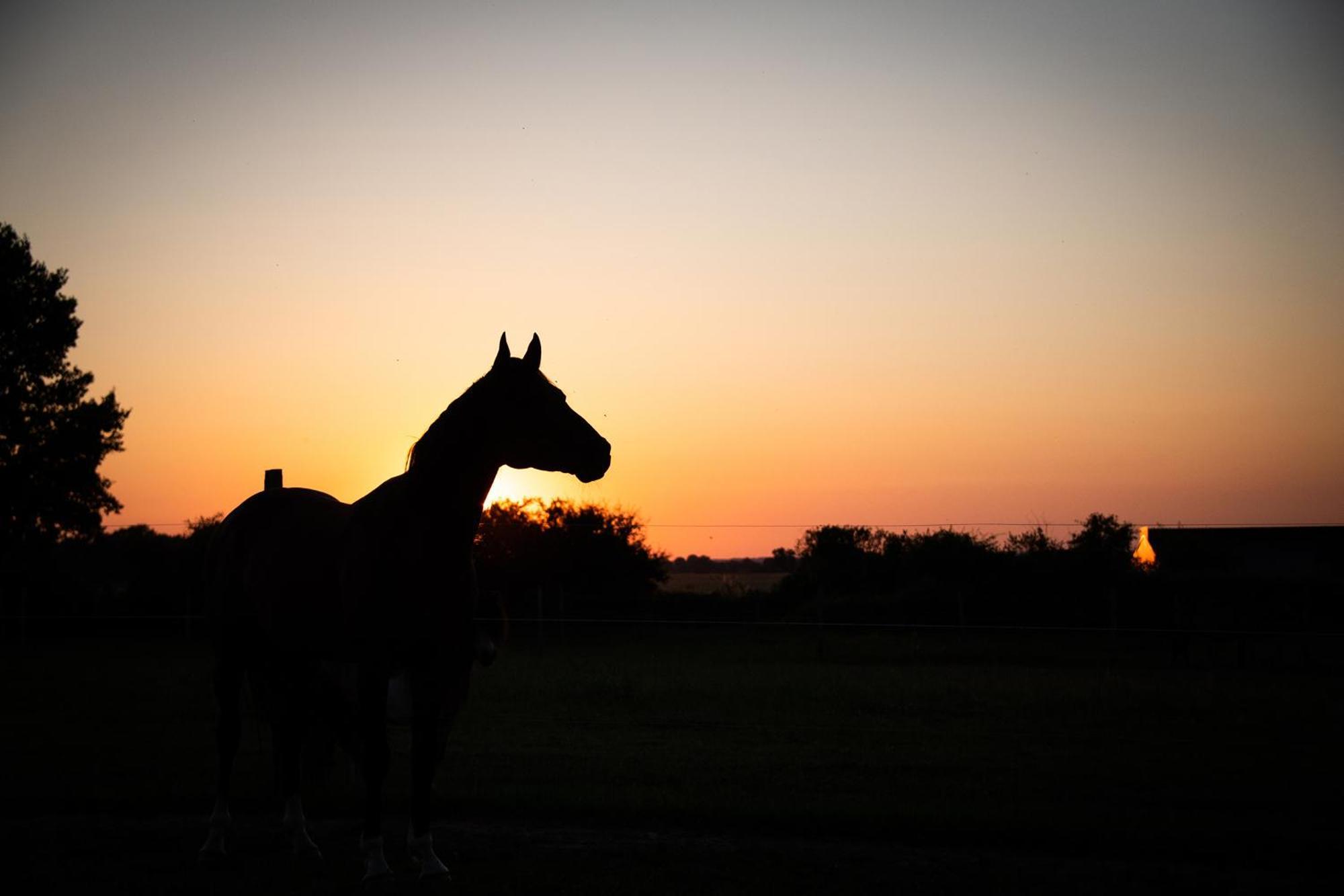 Domaine De La Briouse Bed & Breakfast Sanxay ภายนอก รูปภาพ