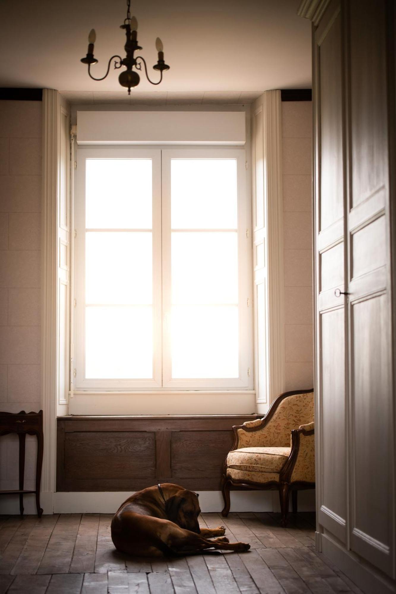 Domaine De La Briouse Bed & Breakfast Sanxay ภายนอก รูปภาพ