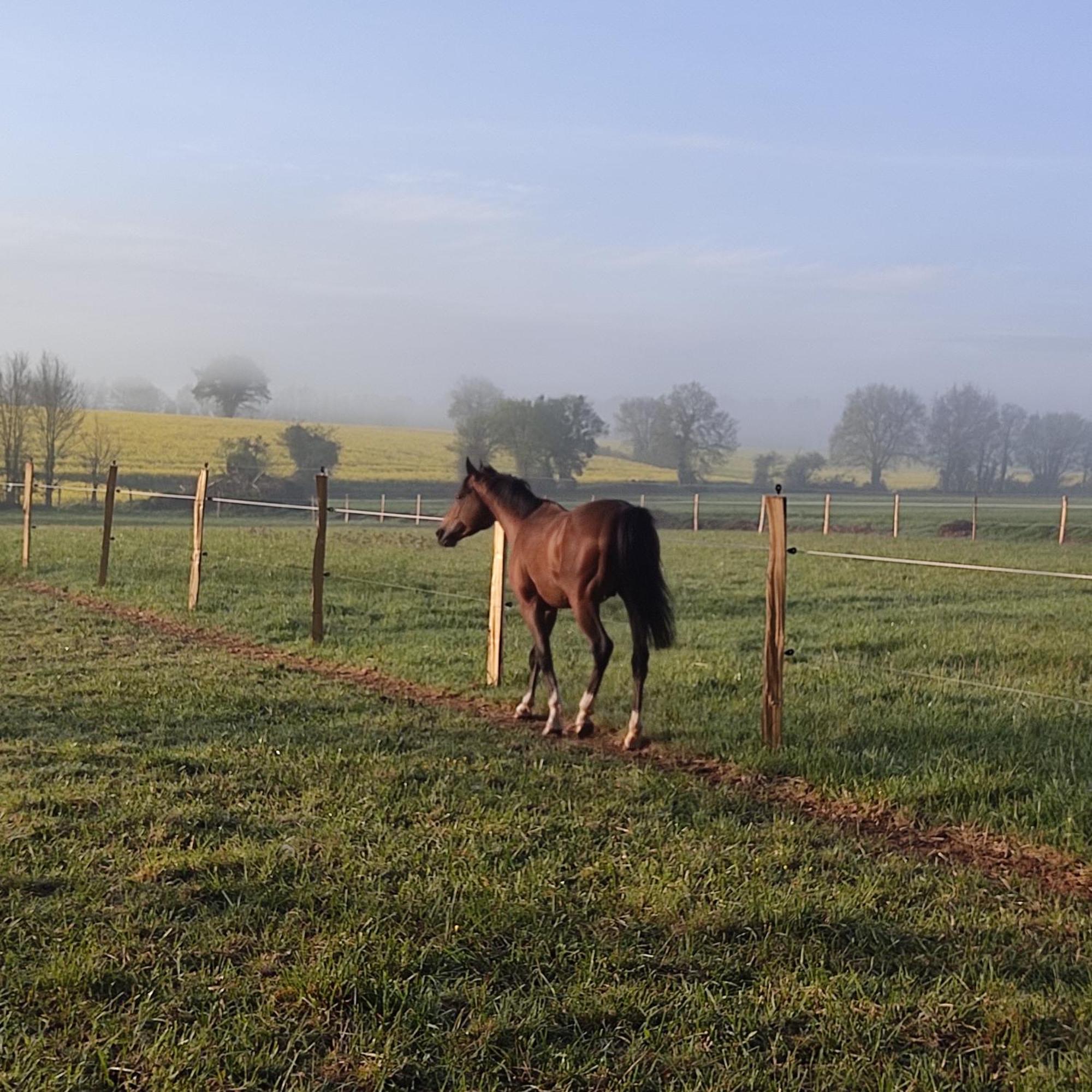 Domaine De La Briouse Bed & Breakfast Sanxay ภายนอก รูปภาพ