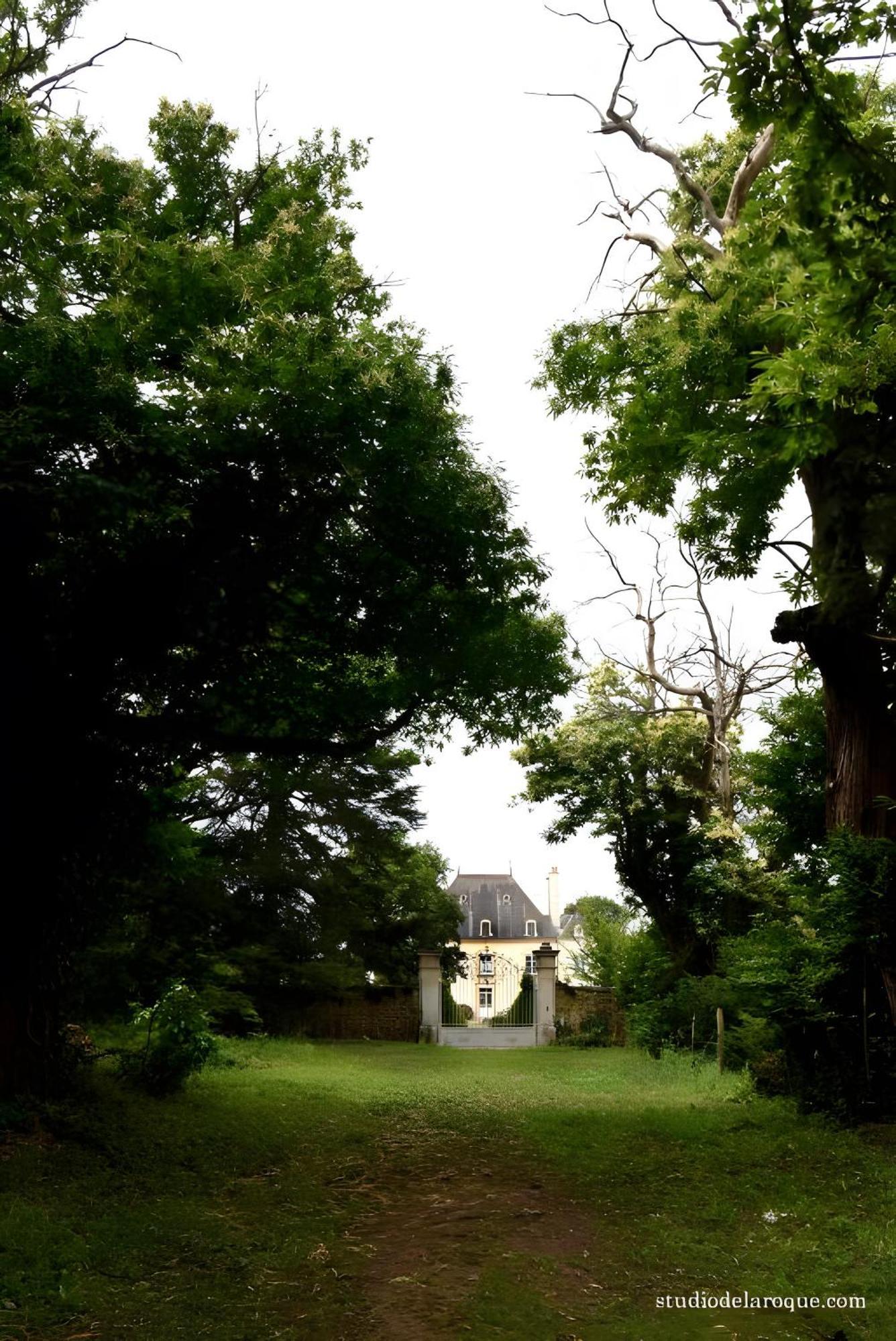 Domaine De La Briouse Bed & Breakfast Sanxay ภายนอก รูปภาพ