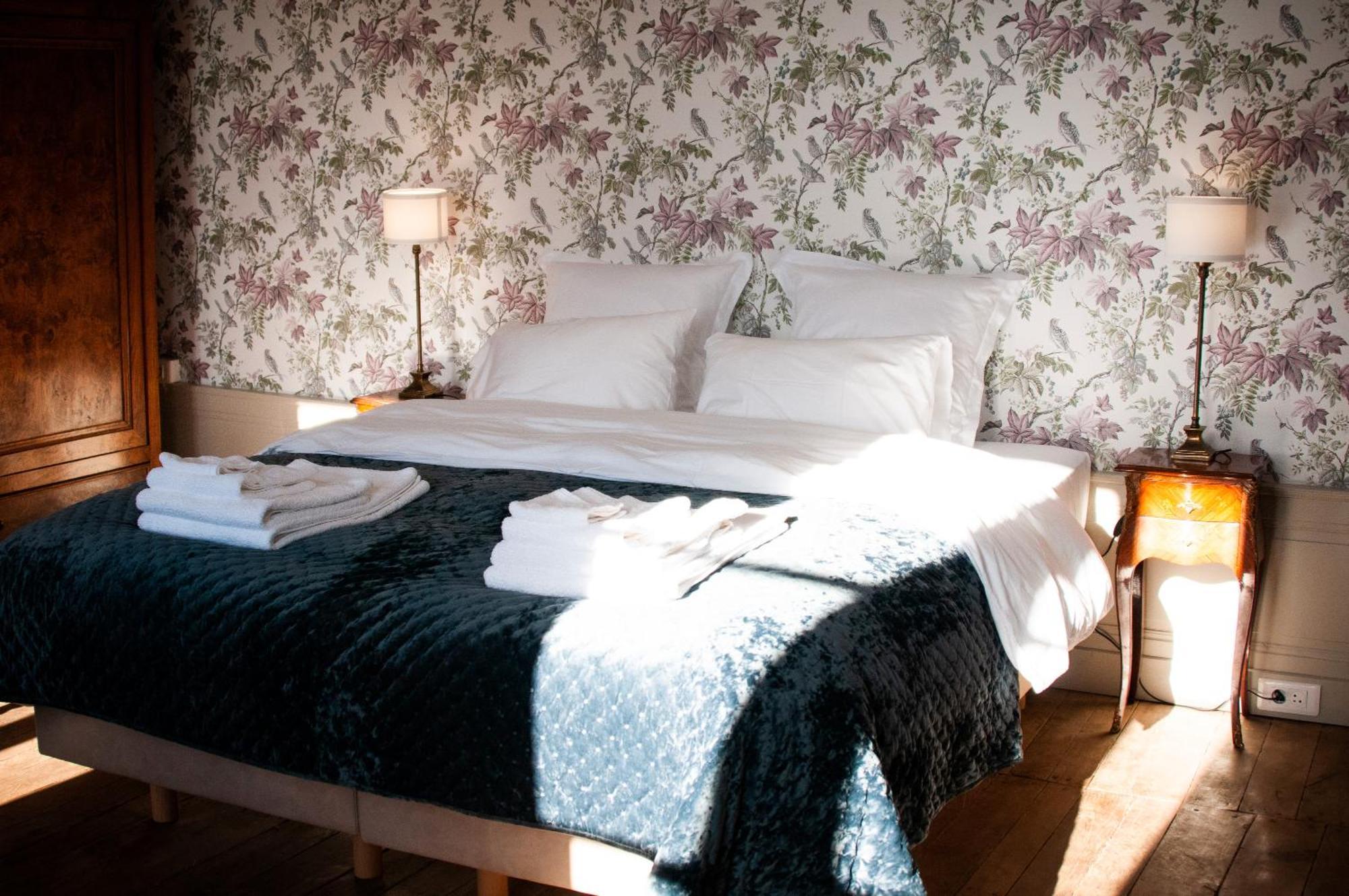 Domaine De La Briouse Bed & Breakfast Sanxay ภายนอก รูปภาพ