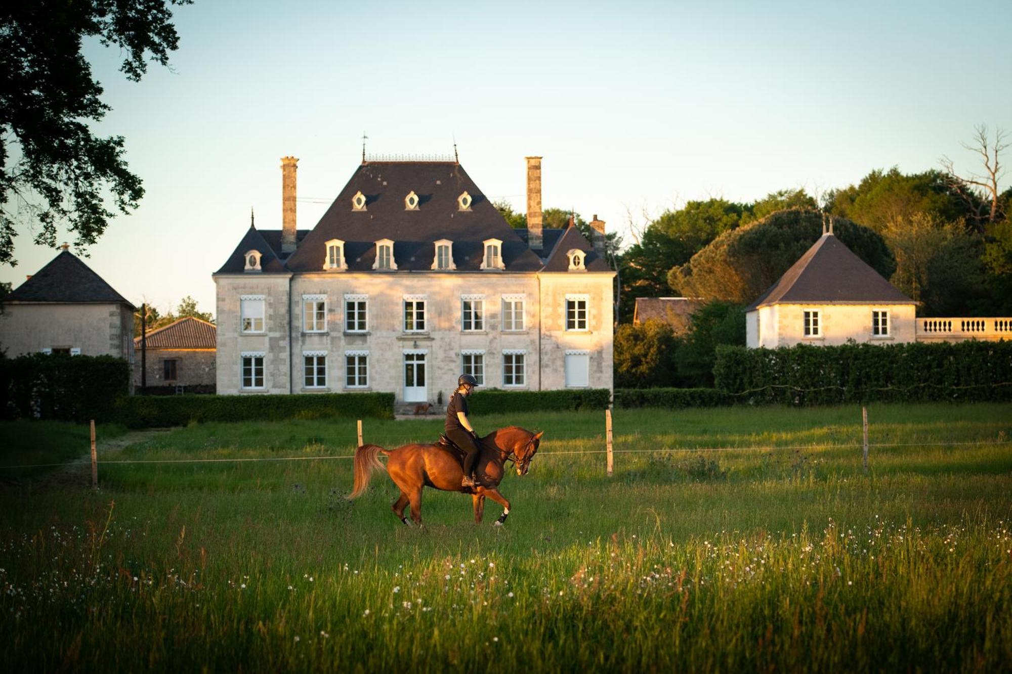Domaine De La Briouse Bed & Breakfast Sanxay ภายนอก รูปภาพ