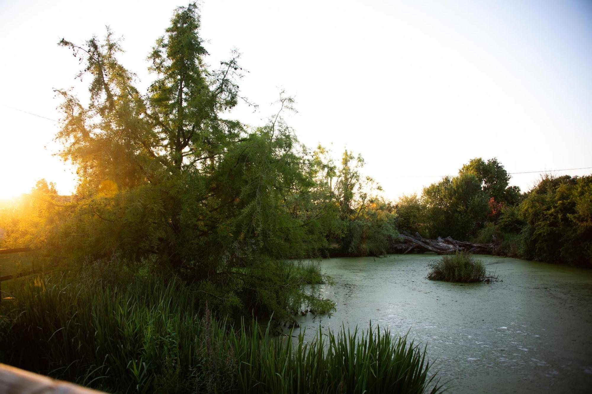 Domaine De La Briouse Bed & Breakfast Sanxay ภายนอก รูปภาพ