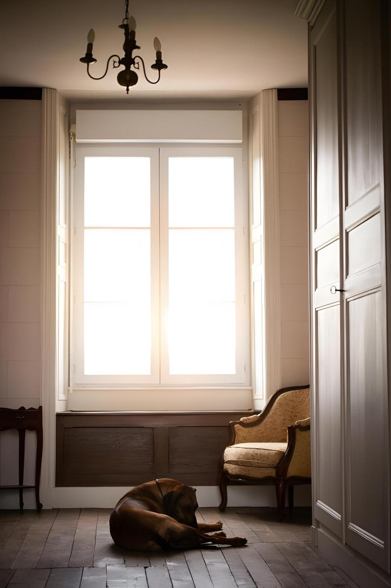 Domaine De La Briouse Bed & Breakfast Sanxay ภายนอก รูปภาพ