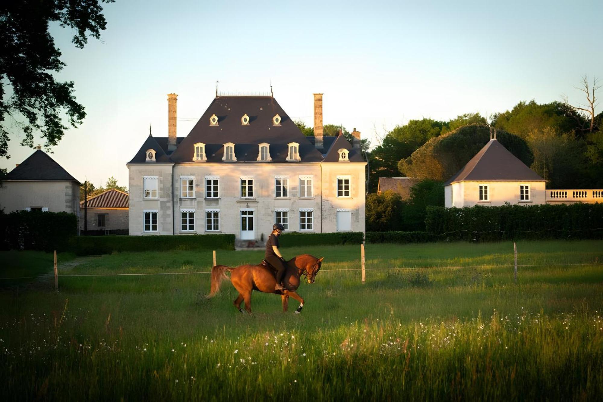 Domaine De La Briouse Bed & Breakfast Sanxay ภายนอก รูปภาพ
